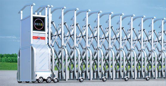 Ԅ(dng)sTľSo(h)R(sh)˽٣